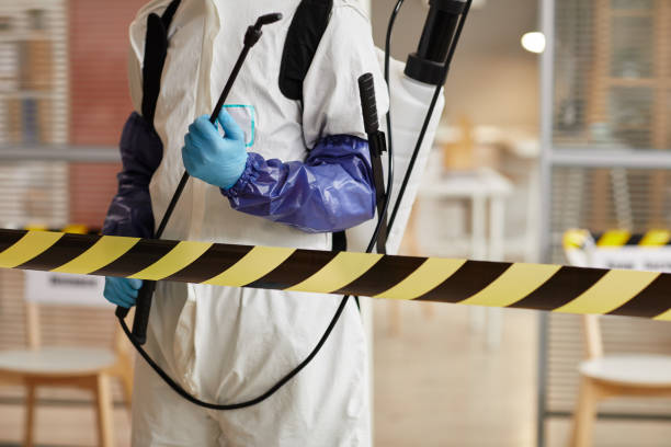 Professional Sewage Cleanup technician working in Carver, MA